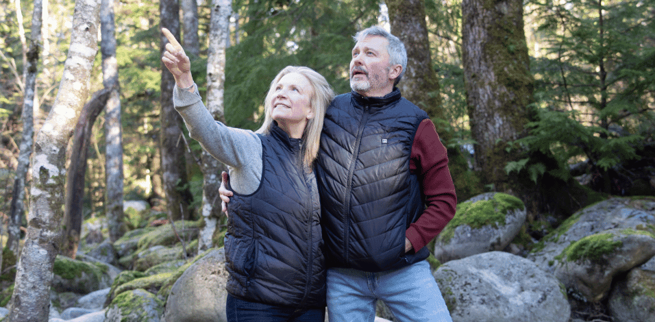 Bird Banner Background