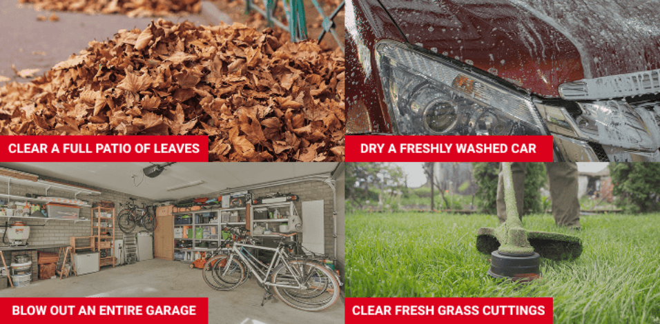 Bird Banner Background